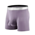 thumbnail image 1 of Birdeem Ice Silk Thin Style Traceless Boxers Business Breathable Mens Summer Comfortable Boxers, 1 of 2