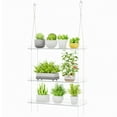 thumbnail image 5 of Lifewit 3-Tier Window Plant Shelves 15 inch, Adjustable Hanging Floating Shelf, Window Sill Extender for Indoor Succulent Plants, Micro Greens, Seed Starter Pots, Herb Planters, 5 of 9
