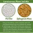 thumbnail image 3 of Gardenera Labs Sphagnum Moss Potting Mix for Carnivorous Plants, Moss and Perlite Blend for Potting Venus Fly Traps, Sarracenia, Pitcher Plants - 75% Sphagnum Moss + 25% Perlite - 2 Quart, 3 of 9