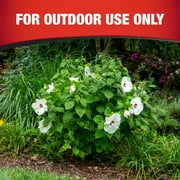Garden Tech Daconil Fungicide 3-Way Control, Concentrate, 16 fl. oz., 1 Count
