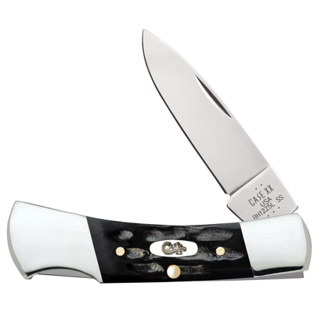 Case XX Knives Lockback Jigged Buffalo Horn Stainless Pocket Knife