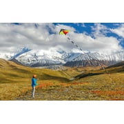 Prism Kite Technology TT20 Kite Tube Tail, 20