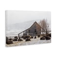thumbnail image 3 of Stupell Industries Colorado Buffalo Snowy Farm Canvas Wall Art, design by Jeff Poe Photography, 3 of 7