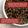 thumbnail image 5 of Rachael Ray Nutrish Natural Premium Dry Dog Food, Real Beef, Pea, & Brown Rice Recipe, 15.4 Lbs, 5 of 9