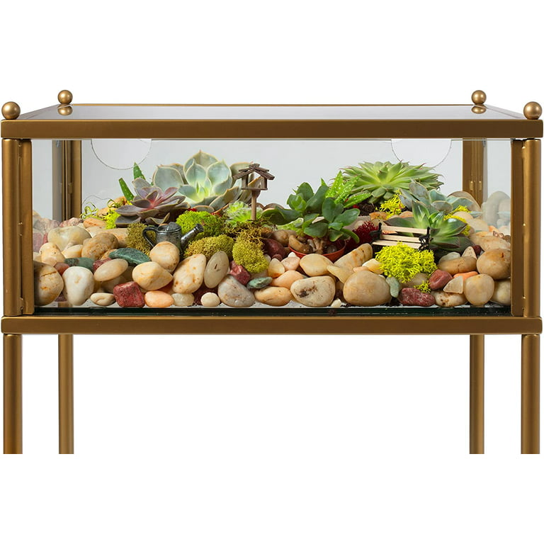 Square Terrarium Display End Table with Reinforced Glass in Gold Iron