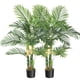 thumbnail image 1 of QinaQin Set de palmeras artificiales Golden Cane de 4 pies en maceta, follaje decorativo para interior o exterior, ideal para hogar u oficina, 1 of 6