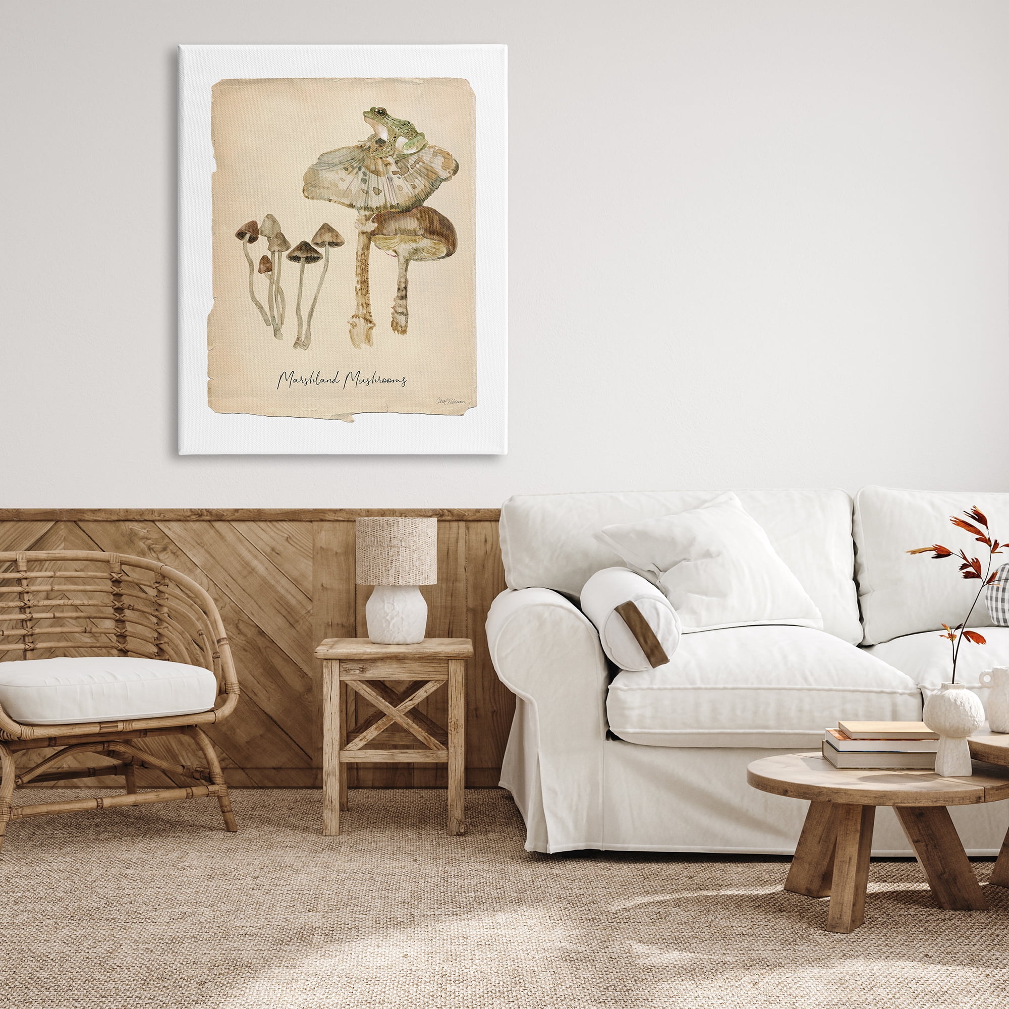 Stupell Industries Marshland Mushrooms & Frog Botanical & Floral Painting Gallery Wrapped Canvas Art Print Wall Art, 36 x 48