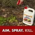 Spectracide Weed & Grass Killer, ReadytoUse, Kills Weeds and Grasses