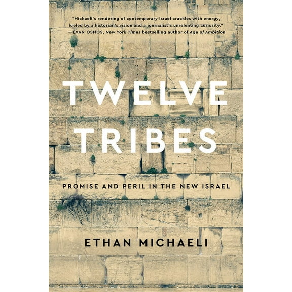 Twelve Tribes: Promise and Peril in the New Israel (Hardcover)