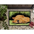 thumbnail image 3 of Carolines Treasures SS8526JMAT Chow Chow Doormat - 24 x 36 in., 3 of 4