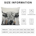 thumbnail image 5 of BCIIG Throw Pillow Cover Portrait of a Highland Cow Pillow Case Decorative  Outdoor Cushion Couch Sofa Pillowcases 18x18in, 5 of 5