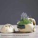 thumbnail image 5 of Halloween Skull Head,Skull Ashtray Plant Pot Resin Human Skull Decor Gift Ornament for Party Halloween Bar Home Scary Decoration, 5 of 5