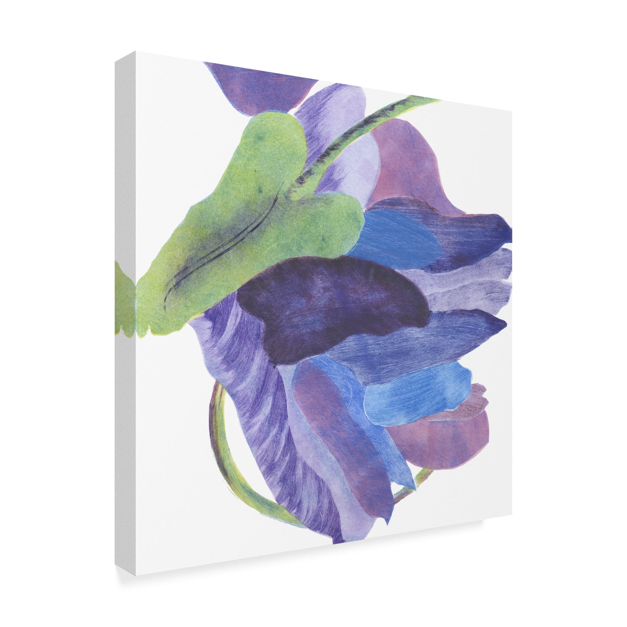 Trademark Fine Art 'Sideways Indigo II' Canvas Art by Carolyn Roth