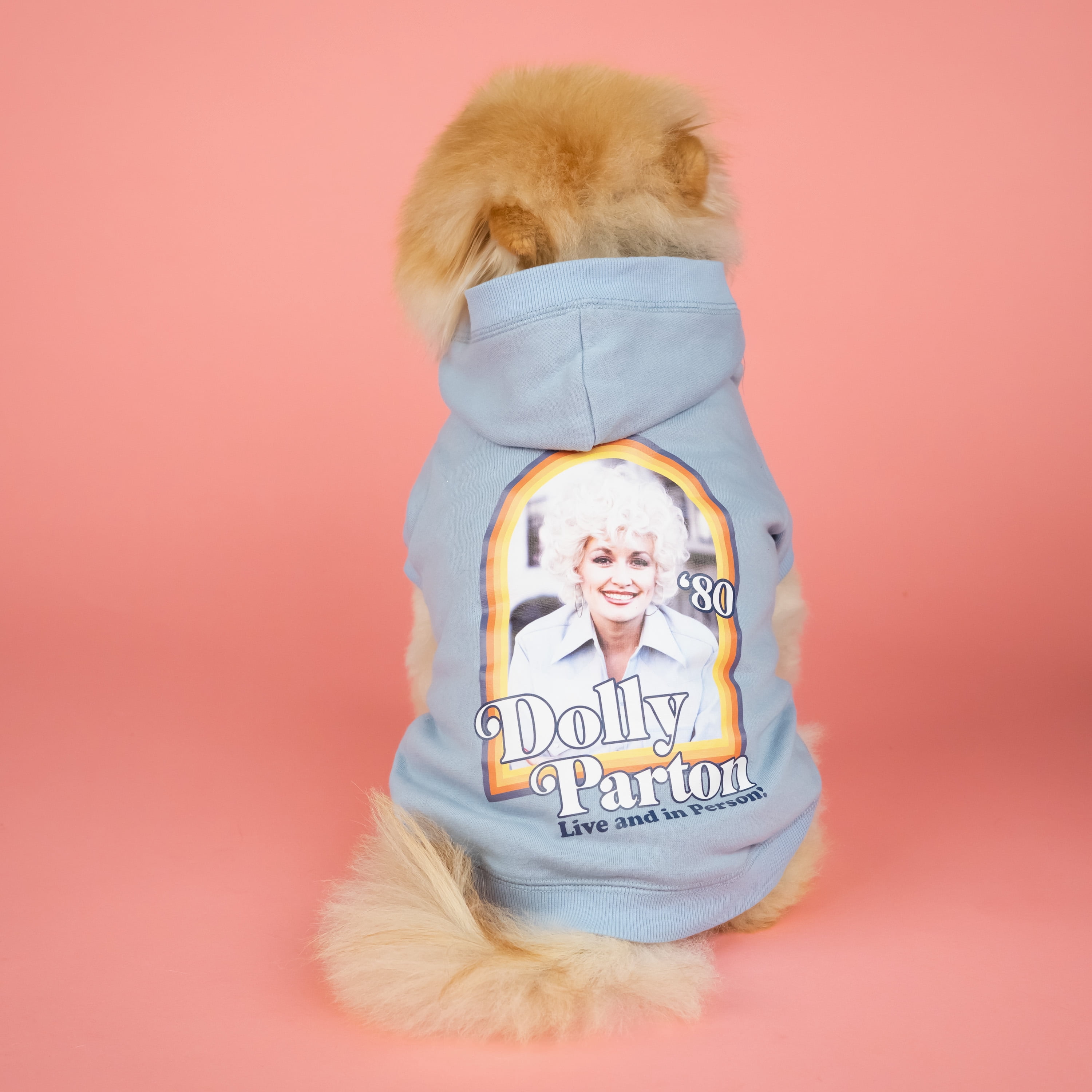 Doggy Parton, Dog Clothes, Dolly Parton Pet Hoodie, Blue, Medium