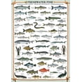 thumbnail image 1 of Freshwater Fish - 6000-0312, 1 of 2