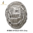 thumbnail image 2 of Lyrical Hair Toupee for Men Fine Mono Mens Toupee Human Hair Replacement Systems Monofilament with NPU Hairpiece for Man Black Brown Blonde Gray Hair Wig Unit, 2 of 6