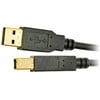 Tripp Lite U022-006 Black USB 2.0 Cable