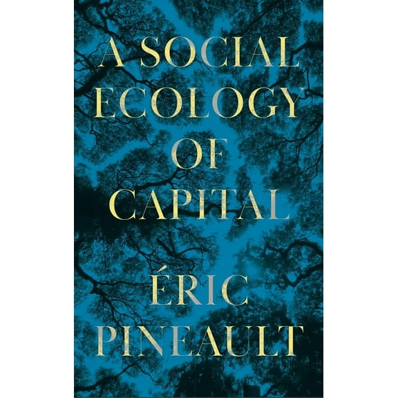A Social Ecology of Capital, (Paperback)