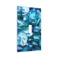 thumbnail image 2 of Kll Blue Kyanite Wall Plate,Gloss Finish,Standard Size 1 - 5" X 3", Polycarbonate Thermoplastic,Electric Receptacle Plug Covers, 2 of 8