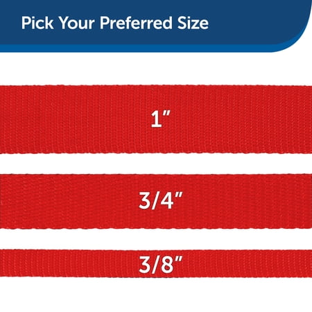 PetSafe（ペットセーフ）犬用リード ナイロンリード レッド 幅1.9cm×長さ120cm
