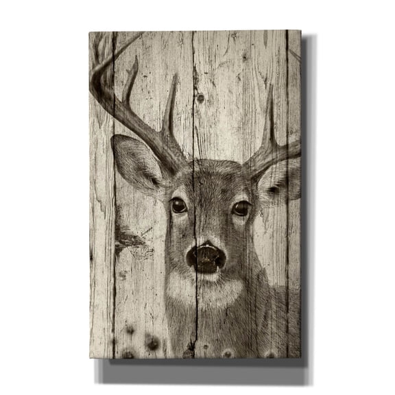 Epic Graffiti 'Woodgrain Antiques-whitetail Buck' by Gordon Semmens Canvas Wall Art, 26" x 40"