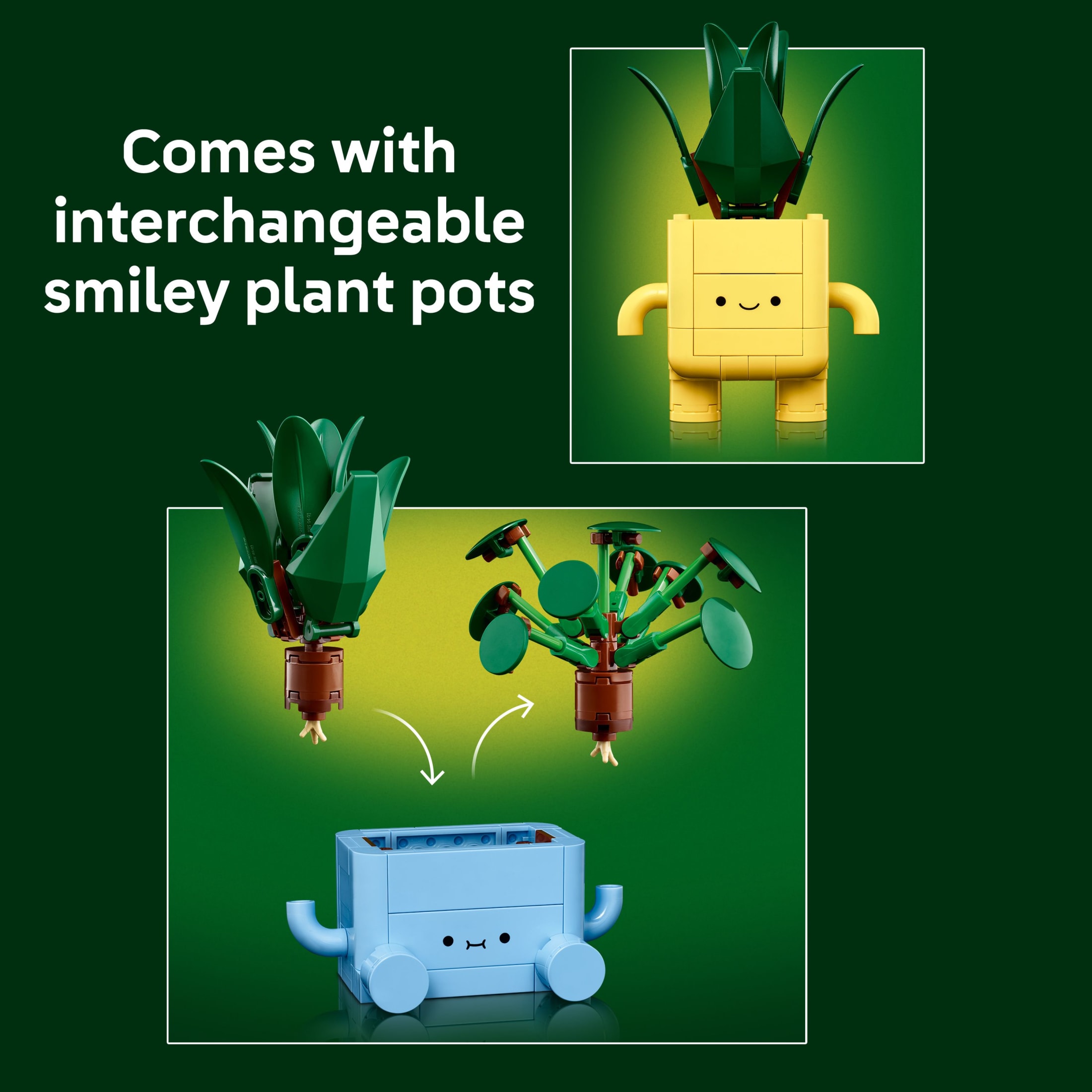 LEGO Botanicals Happy Plants Building Set 10349 photo 6