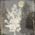 thumbnail image 2 of Sophie 6 15x15 White Modern Wood Framed Museum Art Print Titled - Moon Trees II, 2 of 4