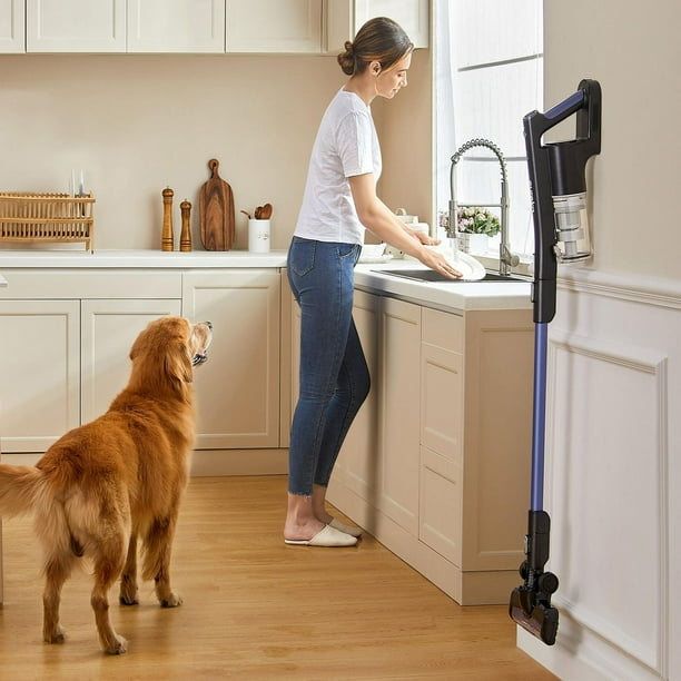 Eureka RapidClean Stick Vacuum Cleaner - Walmart.ca