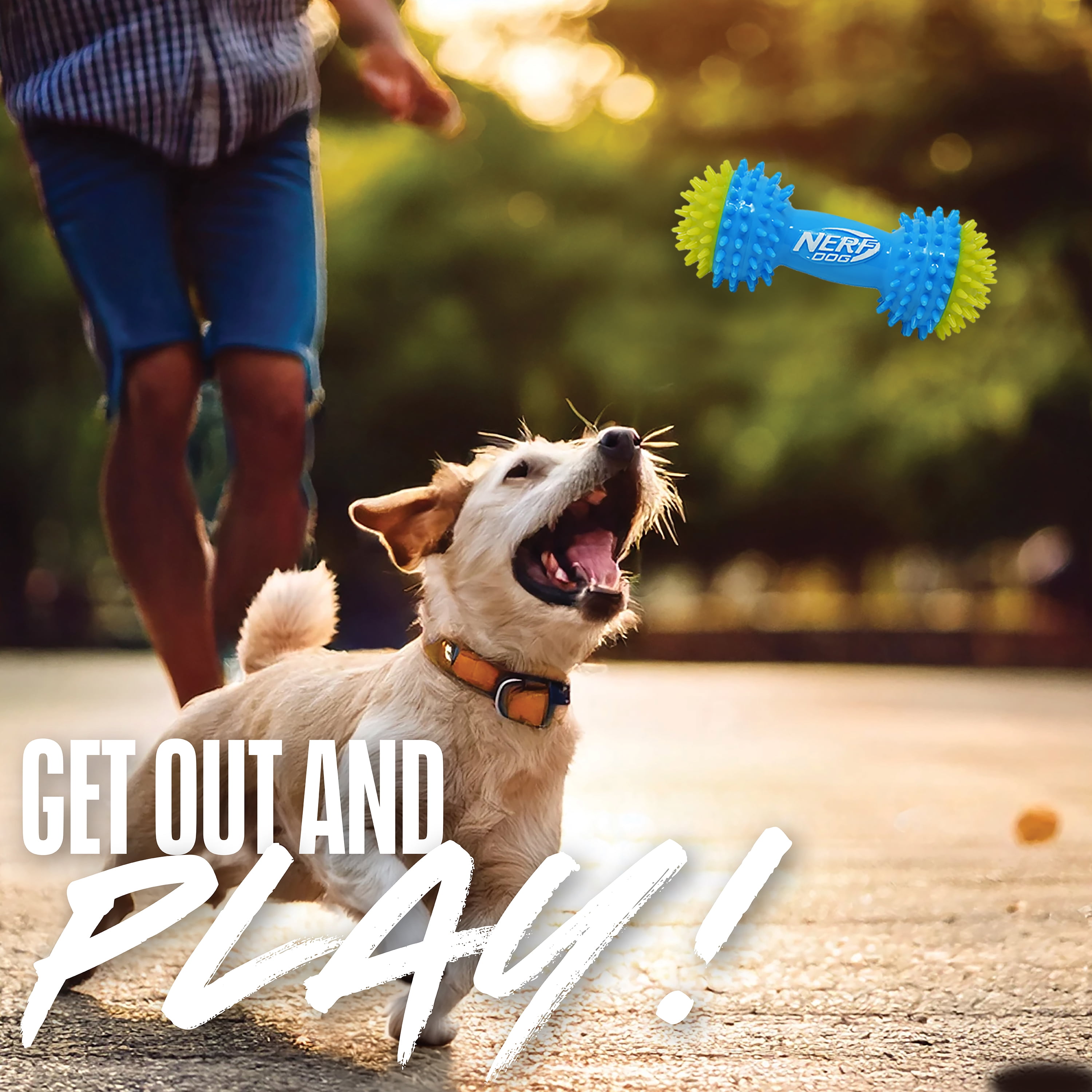 Nerf Dog TPR Squeak Spike Barbell Chew Toy for Dogs, Green/Blue, 7 inch