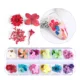 thumbnail image 1 of Naturaleza Muerta Decoración Uñas Flores Hojas Secas, Uñas, 1 of 5