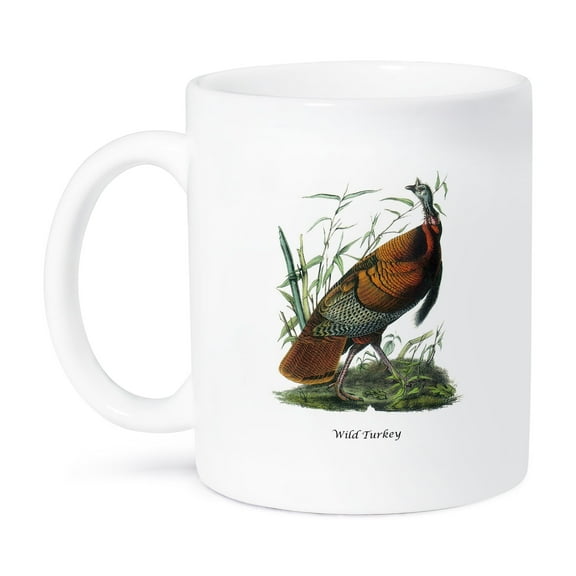 3dRose, Wild Turkey by John James Audubon, 11oz Mug