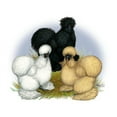 thumbnail image 2 of CafePress - Silkie Chicken Trio Mug - 11 oz Ceramic Mug - Novelty Coffee Tea Cup, 2 of 4