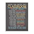 thumbnail image 2 of The Kids Room by Stupell Classroom Rules Rainbow Chalk Wall Plaqueby Jo Moulton, 2 of 6