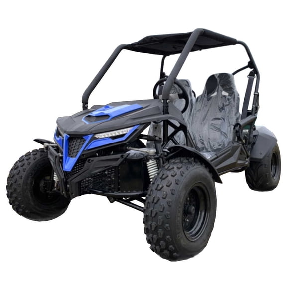 Trailmaster Cheetah 200 Go kart ,Upgraded rear end, high back seats, Full Welded Roll Cage