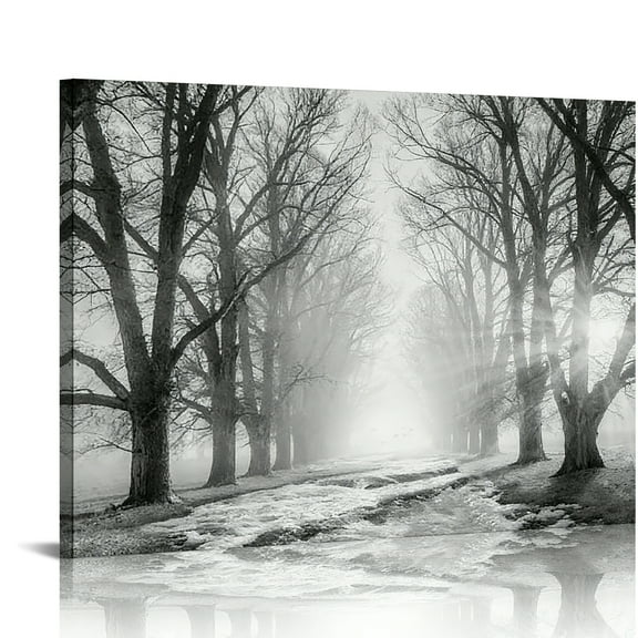 Hidden Frame Canvas Wall Art - Misty Forest Path Black & White Decor Serene Ambience-Style Popular Wall Decor for Living Room 16x12in