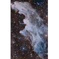 thumbnail image 2 of Chander, Vikas 17x24 Black Ornate Wood Framed with Double Matting Museum Art Print Titled - The Witch Head Nebula, 2 of 4
