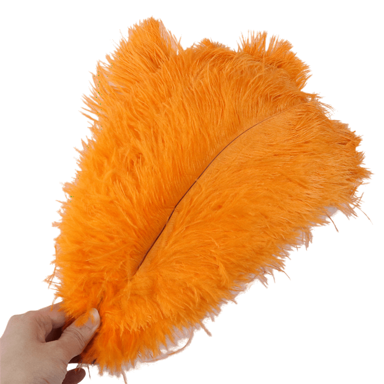 Ostrich Feather Wedding Accessories
