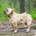 thumbnail image 6 of Dog Diapers Female Washable Sanitary Pantie with Adjustable Suspender, Reusable Doggie Diapers for Male Dogs in Heat, Cotton Puppy Pet Period Panties Dog Underwear, 6 of 6