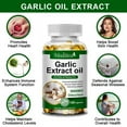 thumbnail image 4 of (2 Pack)Odorless Garlic Softgels 10 mg - Traditional Herb Dietary Supplement - Immune System Support with Antioxidant Properties - 240 Count, 4 of 7