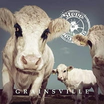 Steve N Seagulls - Grainsville - Music & Performance - Vinyl