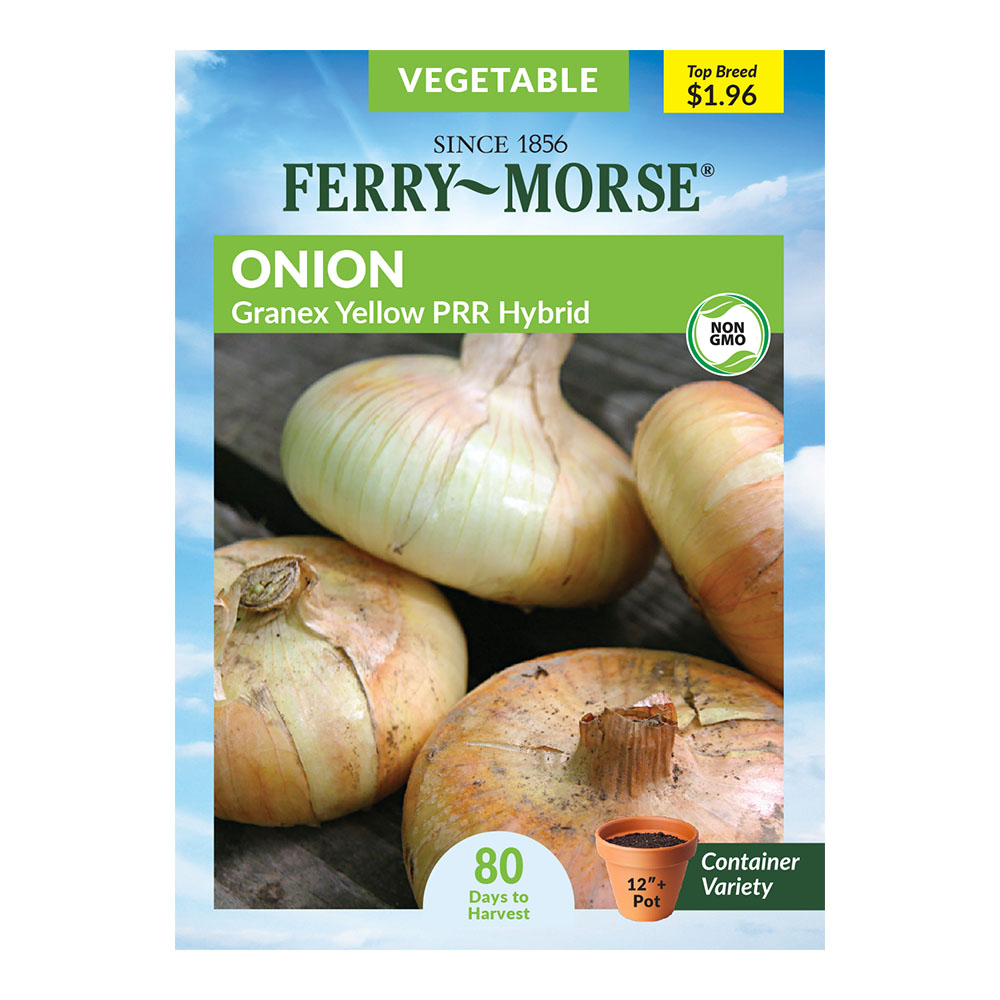 FerryMorse 82MG Onion Granex Yellow PRR Hybrid Vegetable Plant Seeds
