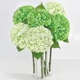 thumbnail image 1 of Flores artificiales Yastouay Real Touch Hydrangea x6 unidades, color verde claro, 1 of 7