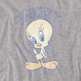 thumbnail image 2 of Looney Tunes Tweety Fade Women's T Shirt, Athletic Heather, Small, 2 of 6