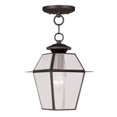 thumbnail image 1 of Livex Lighting Westover 1 Light Outdoor Chain Lant, 1 of 5