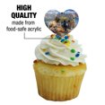 thumbnail image 3 of Crater Lake National Park Oregon Animals Elk Deer Beaver Cougar Heart Love Cupcake Picks Toppers Decoration Set of 6, 3 of 7