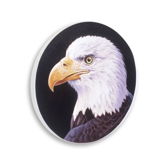 Stupell Industries Bald Eagle Portrait Animals Painting Unframed Art Print Wall Art, 12 x 12