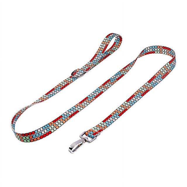 Printed Pet Collar Pet Leash Set-Youyou