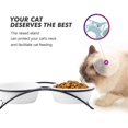 thumbnail image 3 of KitchenLeStar Cuencos para perros y gatos – Cuencos elevados de cerámica para comida de gatos, 12 onzas, aptos para lavavajillas, 3 of 5