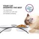 thumbnail image 3 of KitchenLeStar Cuencos para perros y gatos – Cuencos elevados de cerámica para comida de gatos, 12 onzas, aptos para lavavajillas, 3 of 5