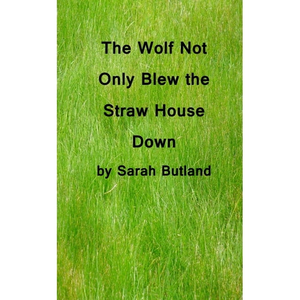 The Wolf Not Only Blew the Straw House Down eBook